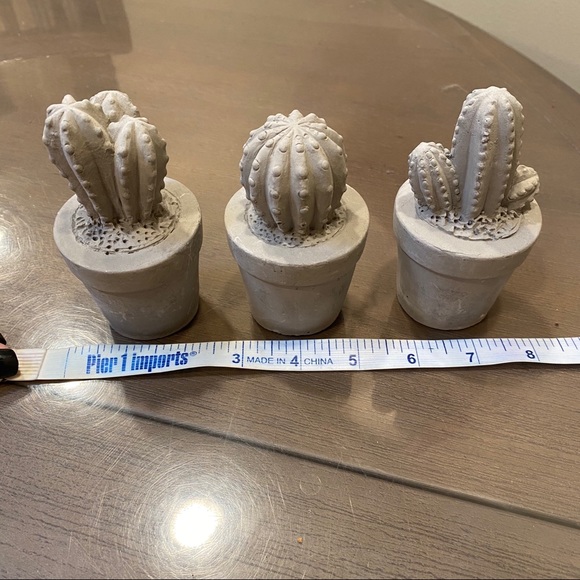 ❌SOLD❌ Pier 1 Imports | Set of 3 Mini Cactus Decor 🌵 - Picture 6 of 7